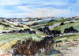 46 - Diane Poole - Herefordshire Landscape - Watercolour.jpg